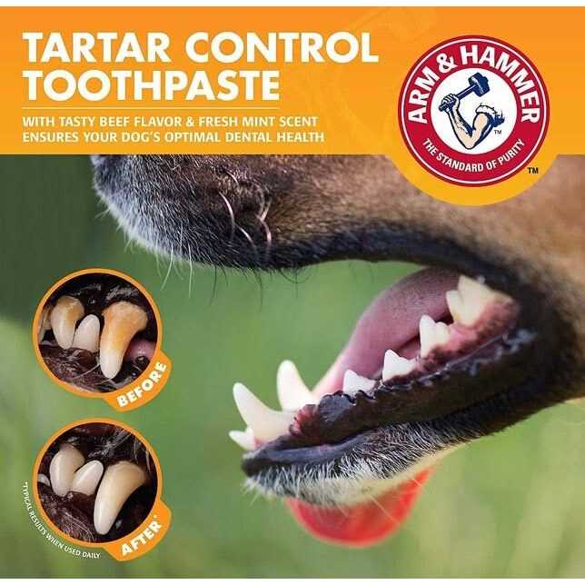 Tartar Control Kit for Dogs Q436