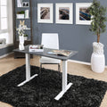 Height Adjustable Desk with USB Power Outlet Grey L844941