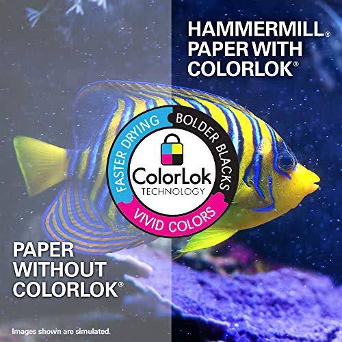 19x13 80lb 100 Bright Cardstock 250 Sheets X41766