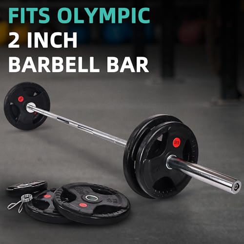 Cast Iron Weight Plates with Barbell Bar and Locks, 100 Pounds Set J718