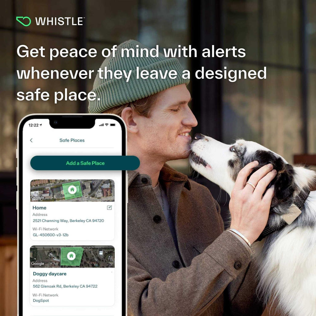 Smart Collar Kit GPS location Health & Fitness R220537