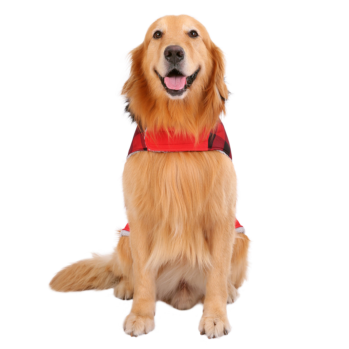 Fleece Lined Dog Puffer Jacket with Harness Hole X401877