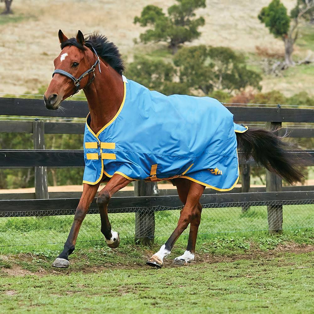 Navy/Light Blue Standard Neck Lite IV E36767