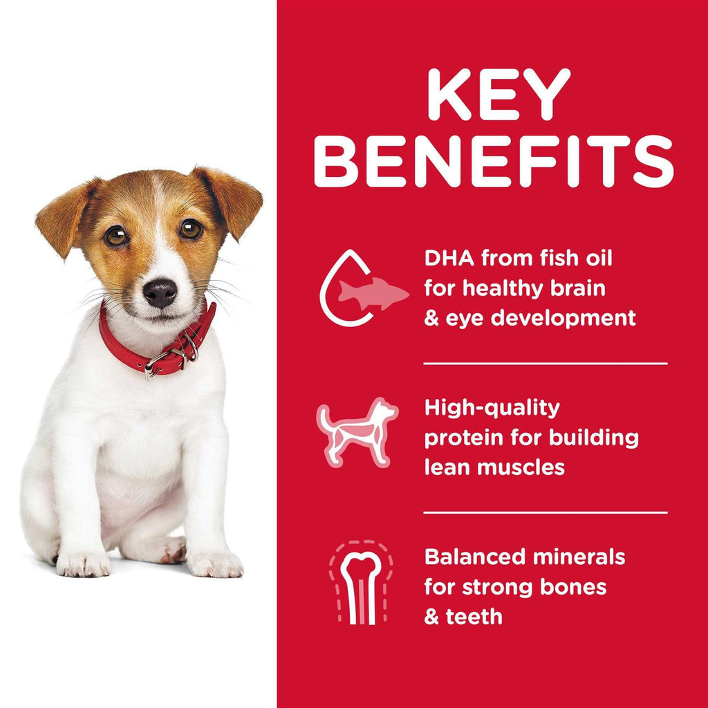 Dry Dog Food F318