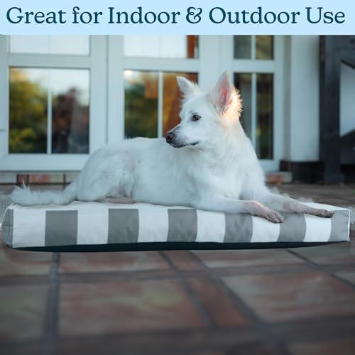 Indoor/Outdoor Dog Bed with Removable Washable Cover M281425