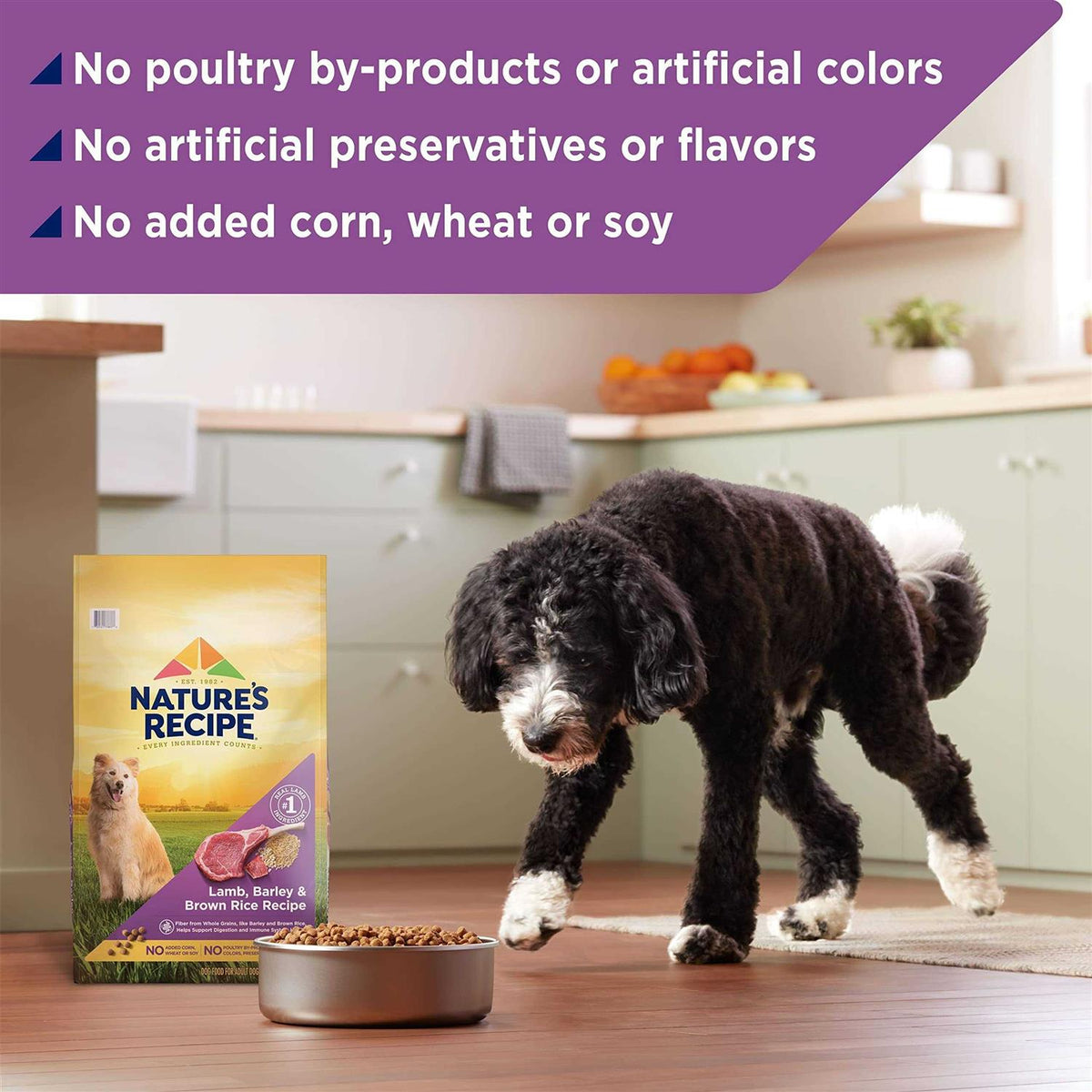 Adult Dry Dog Food C17871