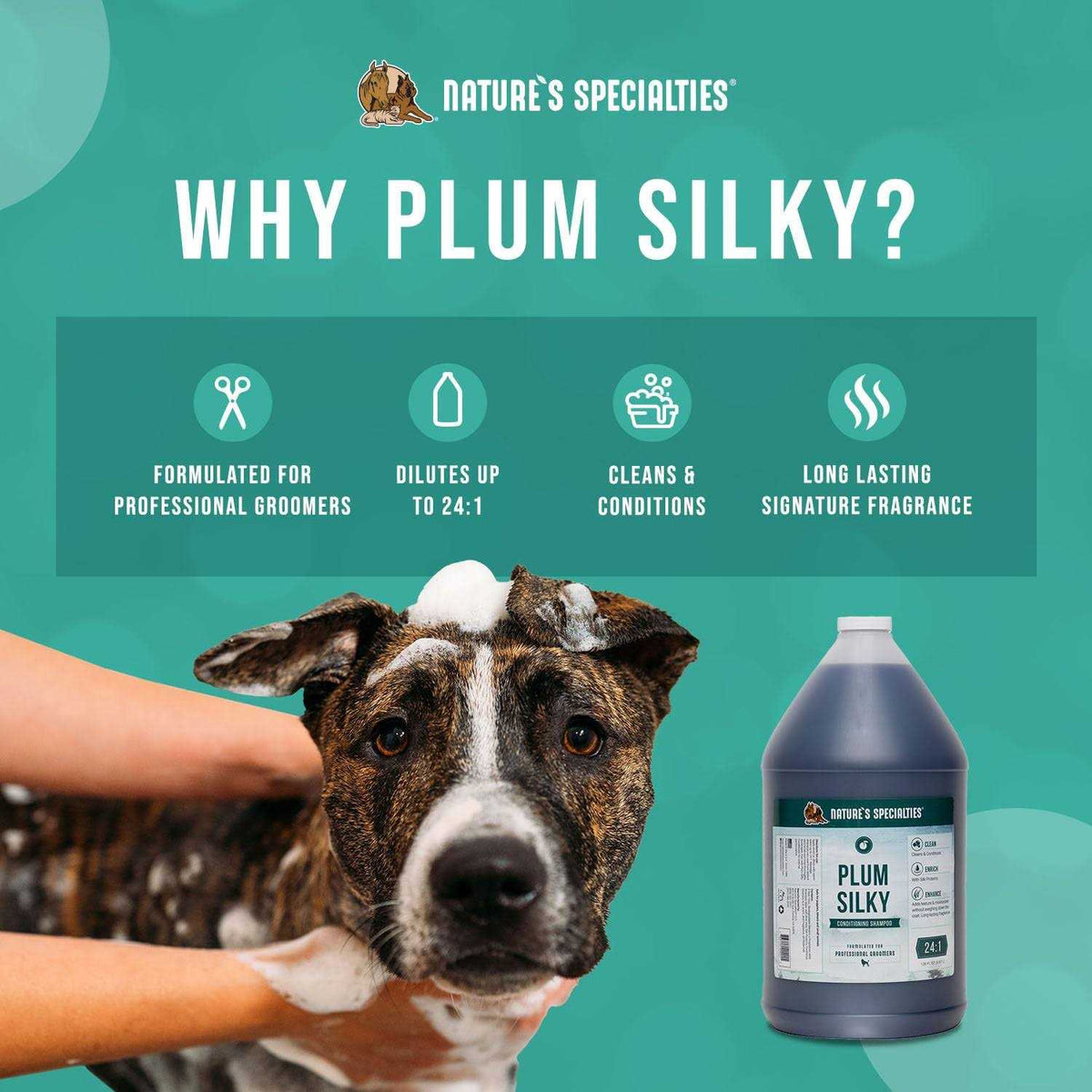 Plum Silky Shampoo V85949