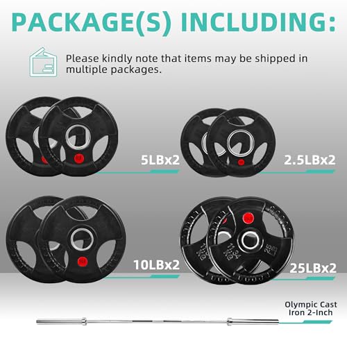 Cast Iron Weight Plates with Barbell Bar and Locks, 100 Pounds Set J718