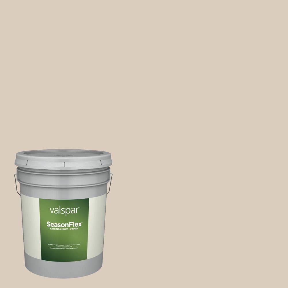 Exterior Paint (5-Gallon) Y693896