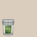 Exterior Paint (5-Gallon) Y693896