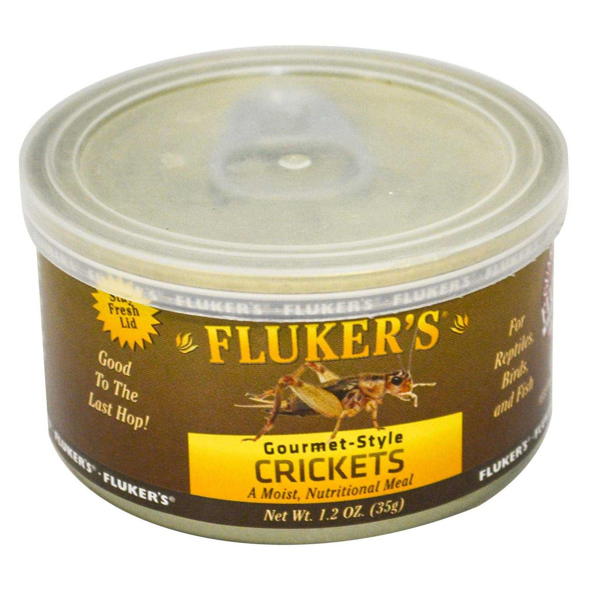 Canned Crickets O164277