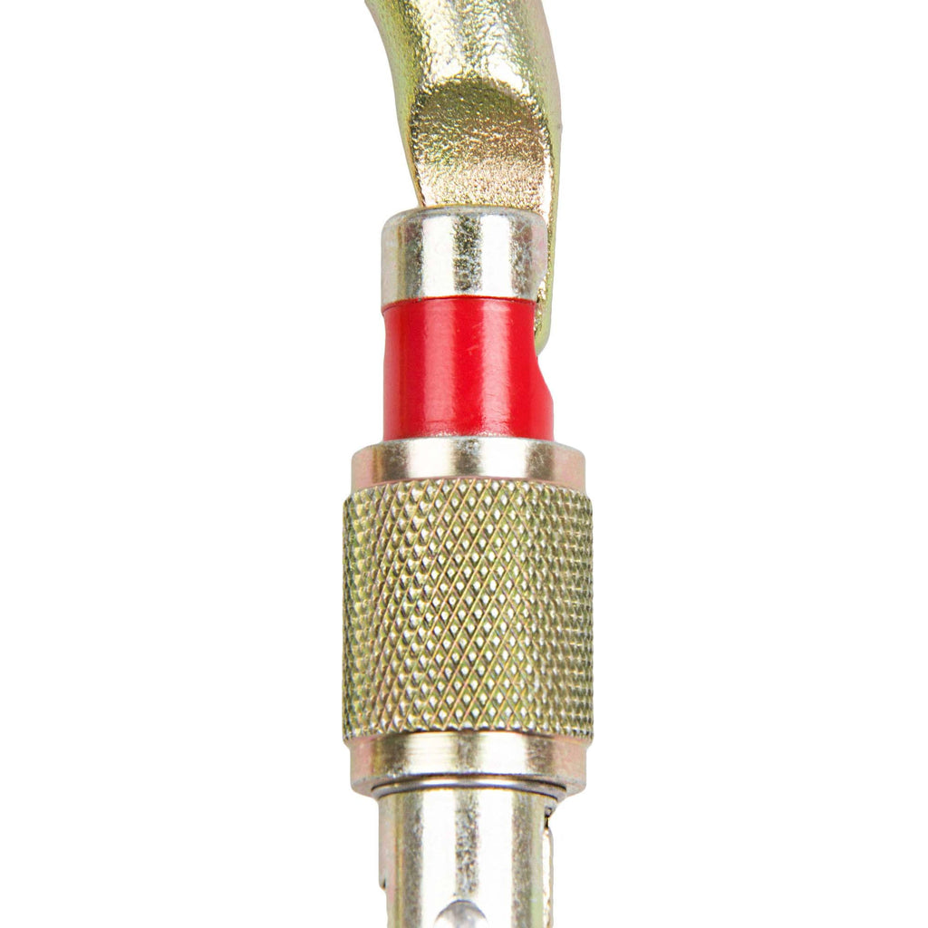 Screw Lock Carabiner G576031