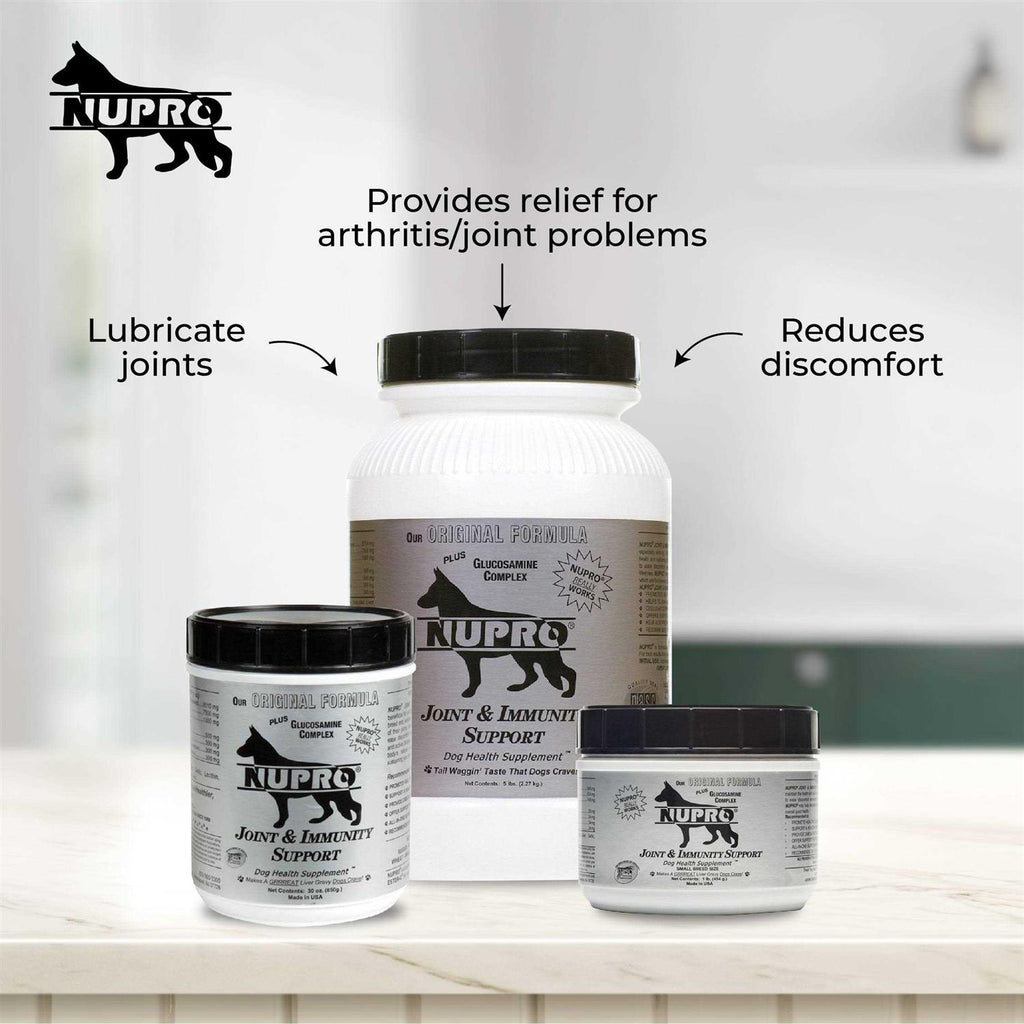 Joint & Immunity Support Dog Supplement W66385