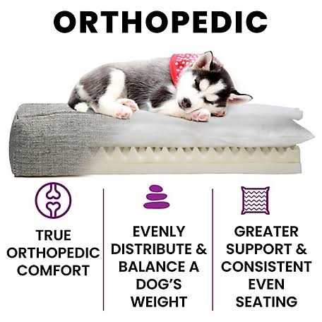 Orthopedic Dog Bed K58794