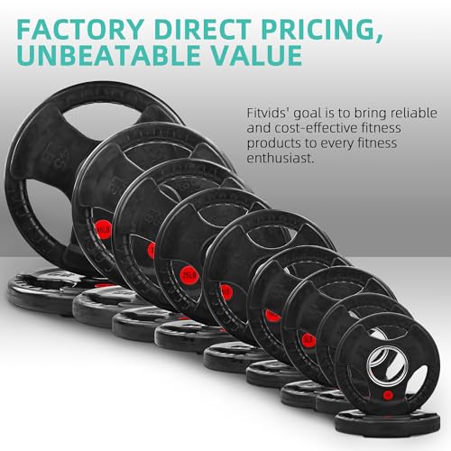 Cast Iron Weight Plates with Barbell Bar and Locks, 100 Pounds Set J718