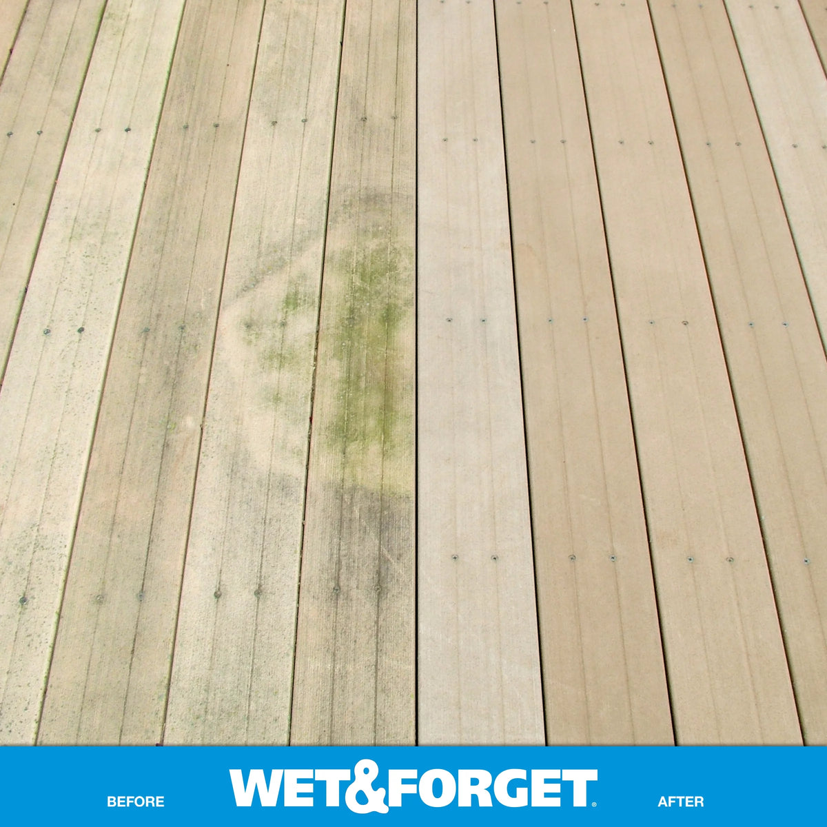 Outdoor Liquid Surface Cleaner & Stain Remover L9238