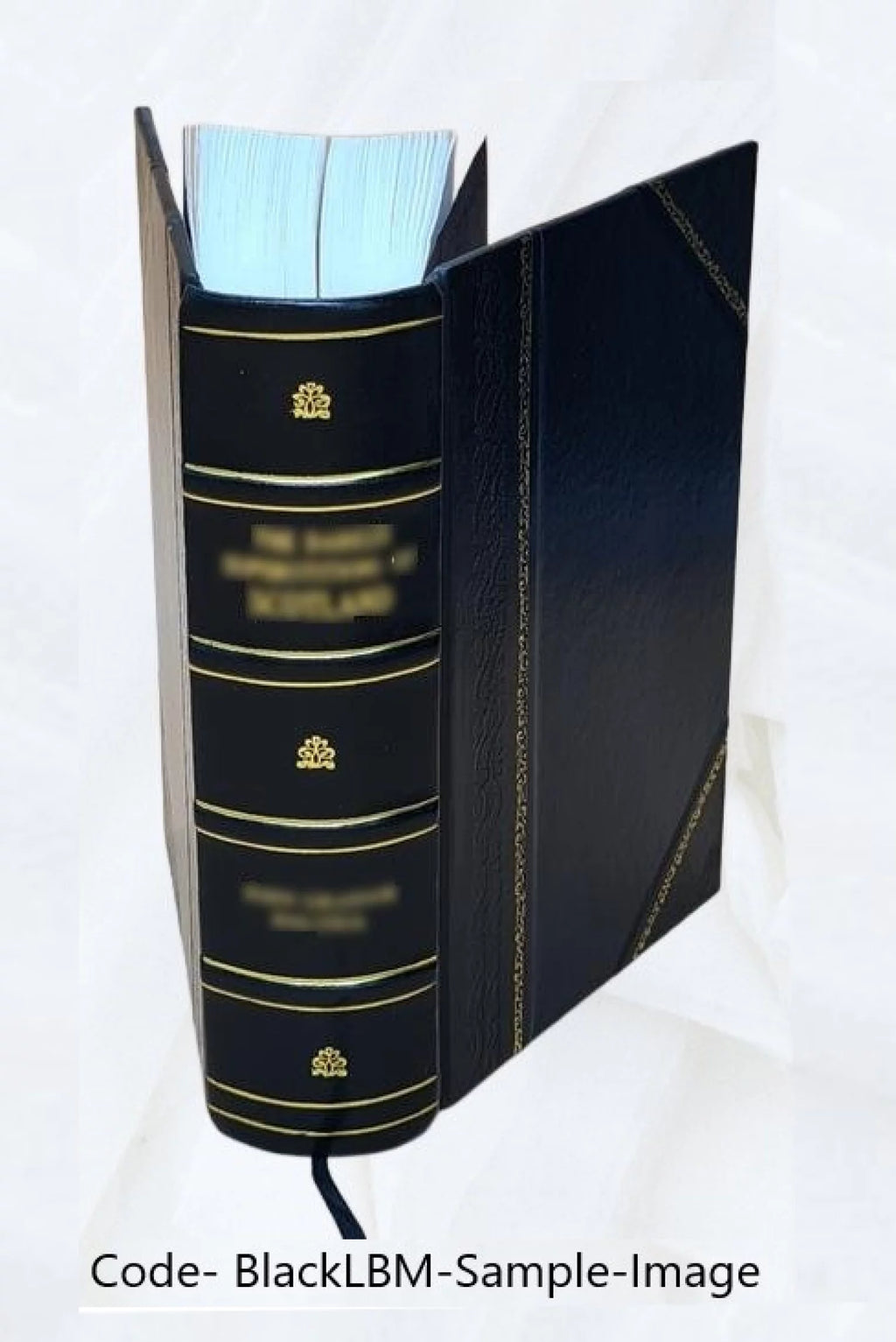 Leather Bound L9020