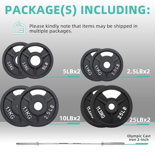 Cast Iron Weight Plates with Barbell Bar and Locks, 100 Pounds Set J718