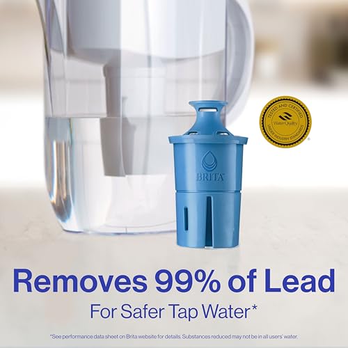 Water Filter Replacements for Pitchers and Dispensers, 2 Count O181038