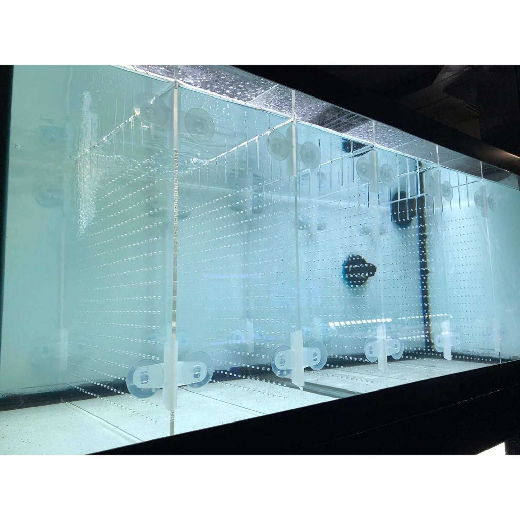 Acrylic Aquarium Divider Kit with Suction Cups U89357