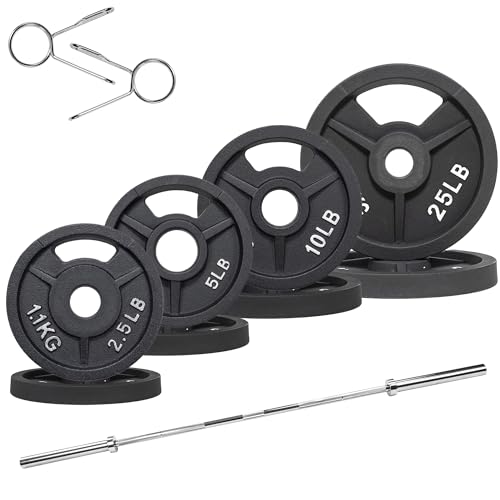 Cast Iron Weight Plates with Barbell Bar and Locks, 100 Pounds Set J718