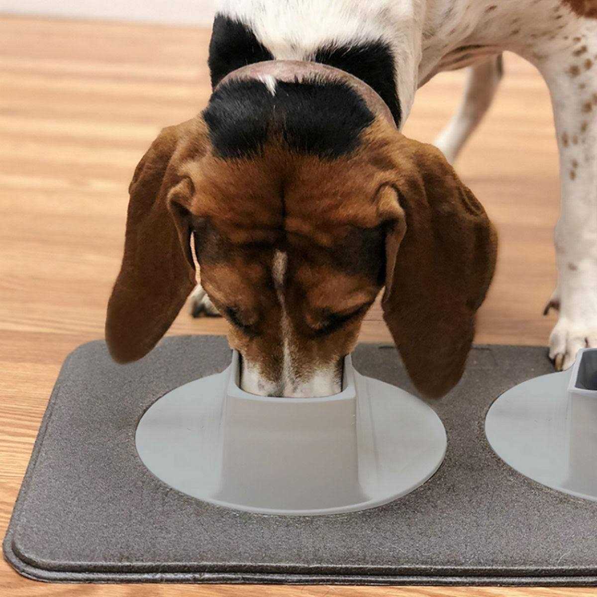 Pet Feeding Station Z631389