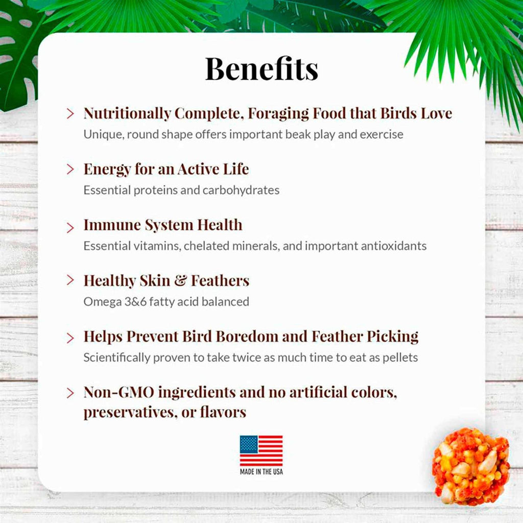 Tropical Fruit Parakeet B270