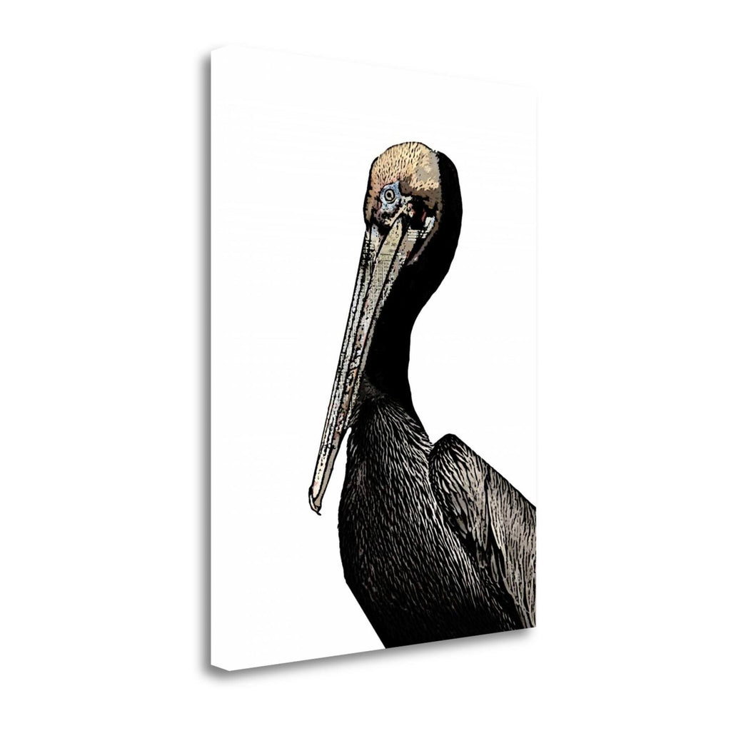 Brown Pelican Giclee Print M947