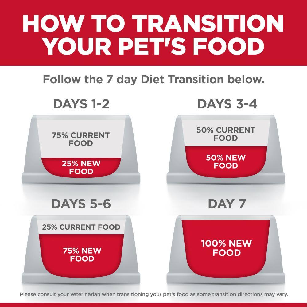 Adult Salmon Dry Cat Food 13-lb A413