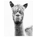 Canvas Art 24 inch x 36 inch Q3456