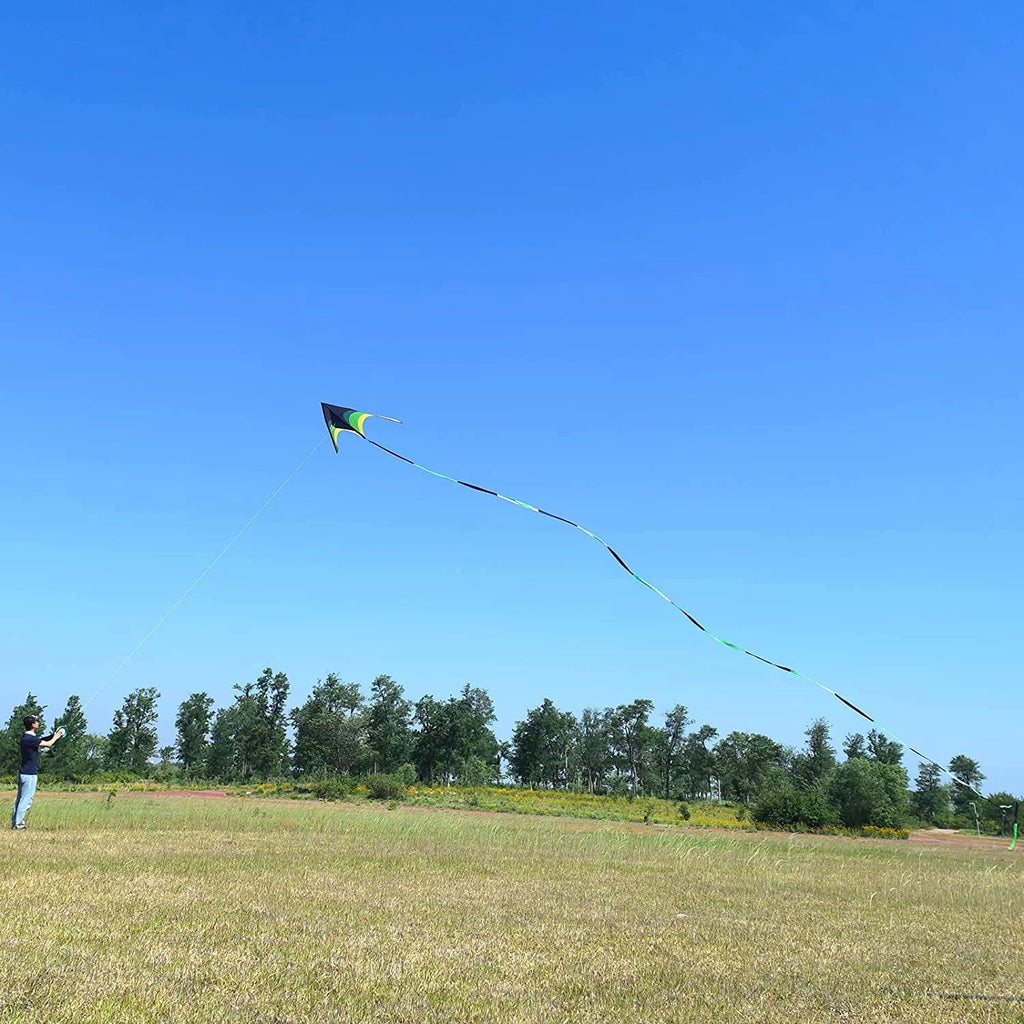Black Green Giant Delta Kite R42908