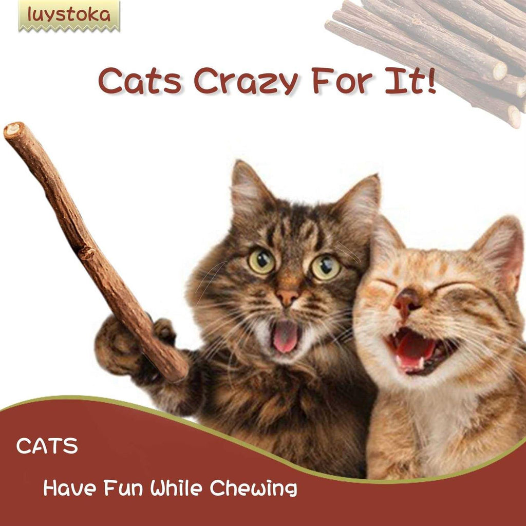 30pcs Catnip Silvervine Sticks Kitten Chew Toys R3968