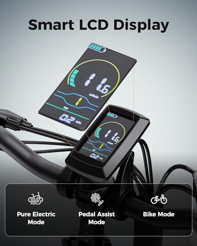 850W 48V 10AH 20" Fat Tire Folding Electric Bike C616