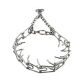 Spiked Training Collar R76404