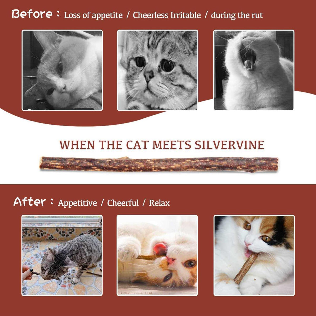 30pcs Catnip Silvervine Sticks Kitten Chew Toys R3968