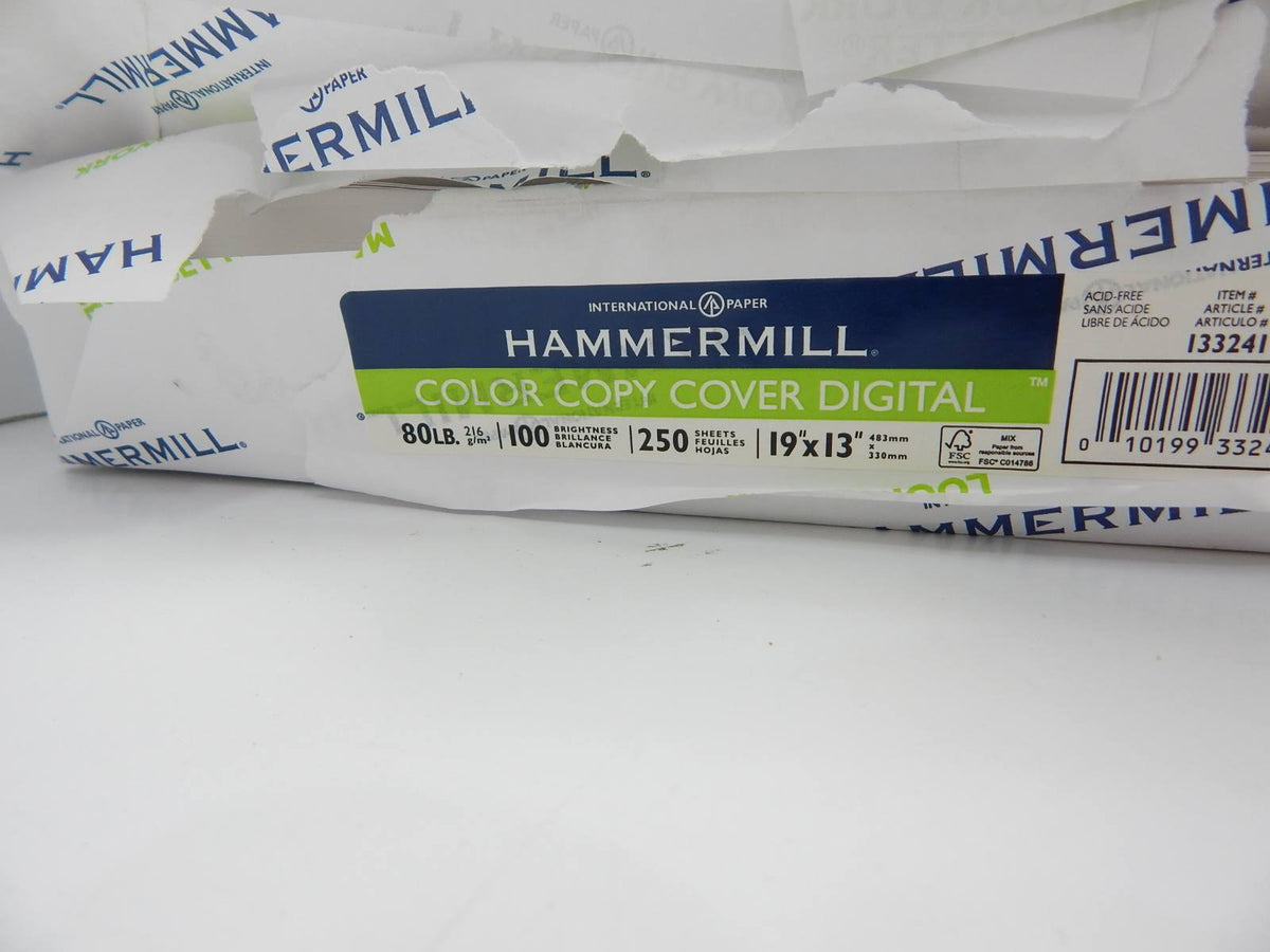 19x13 80lb 100 Bright Cardstock 250 Sheets X41766