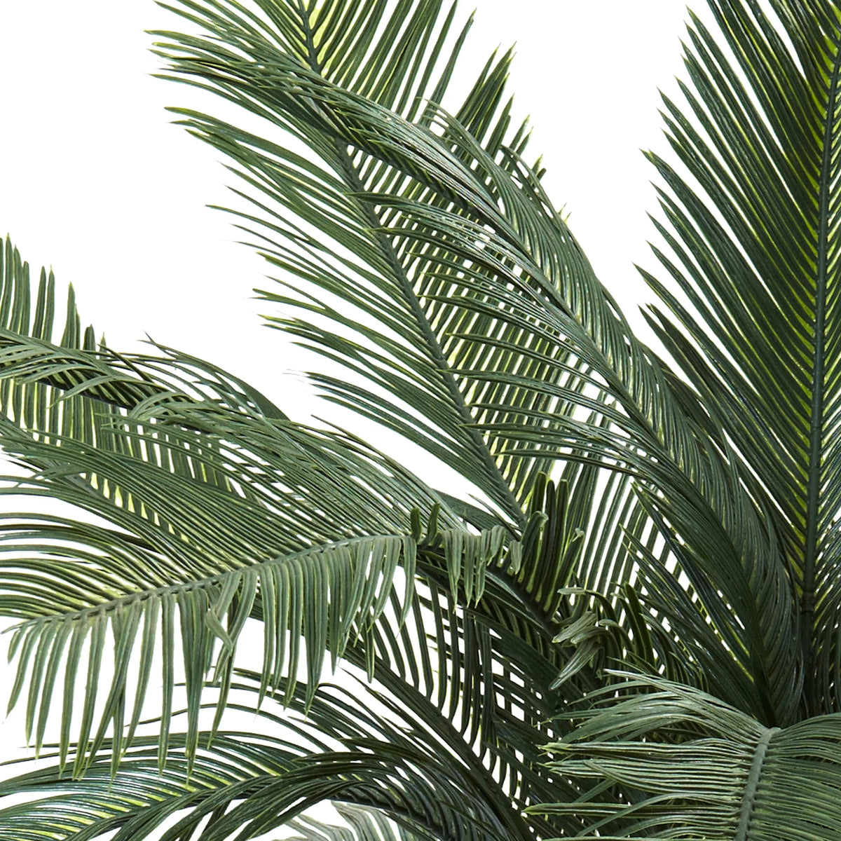 4ft. UV Resistant Cycas Artificial Tree S3338