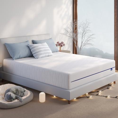 Queen Size 10 Inch Gel Memory Foam Mattress B277