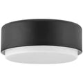 Black Two Light Flush Mount U566