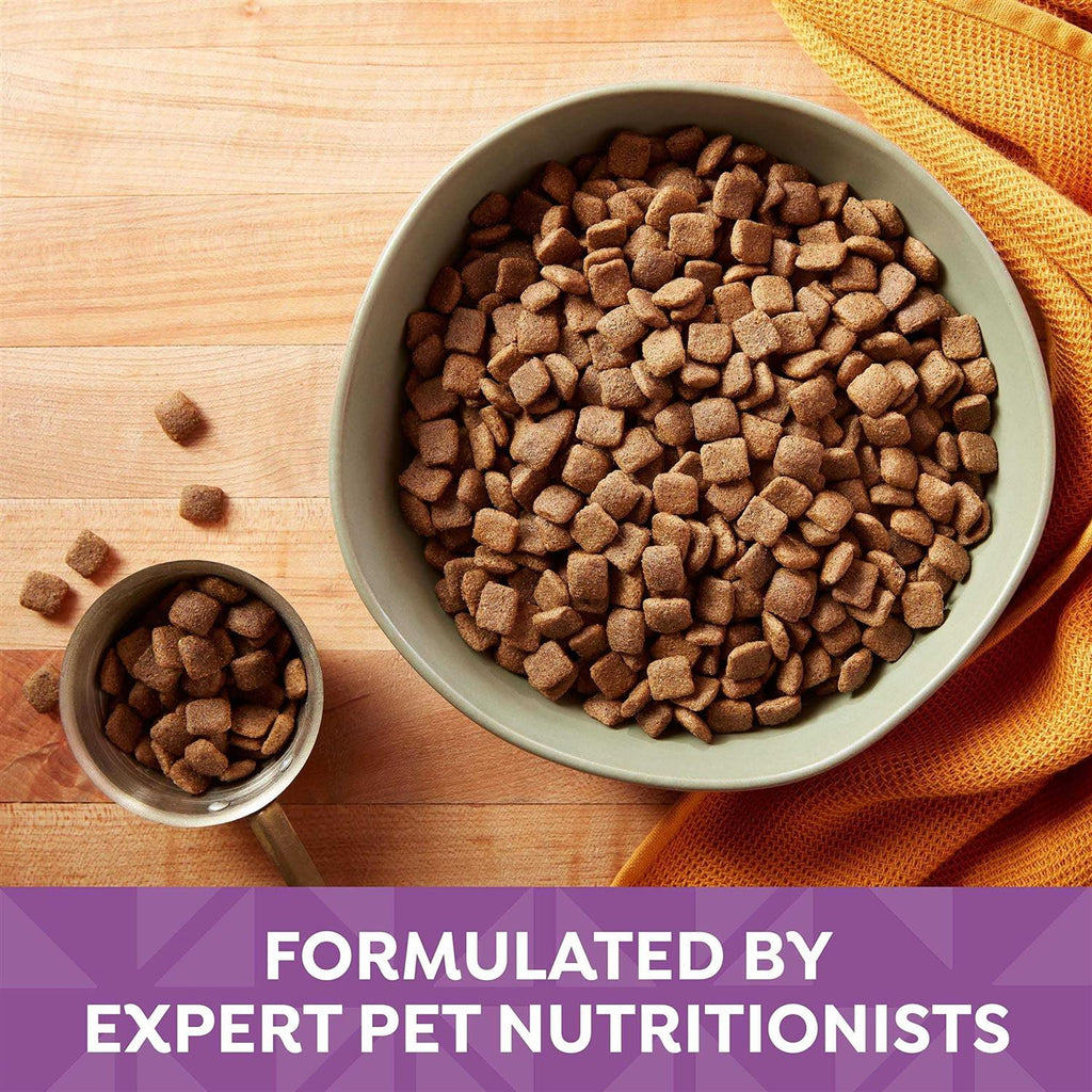 Adult Dry Dog Food C17871