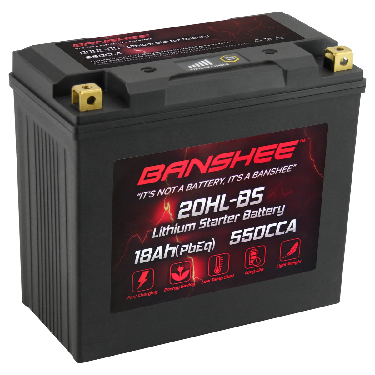 Lithium Ion Battery N6286