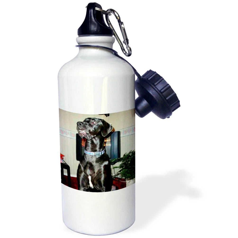Black Great Dane Sports Water Bottle 21oz L268