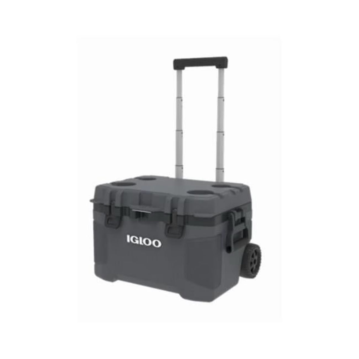 52 qt. Carb Roll Cooler U200