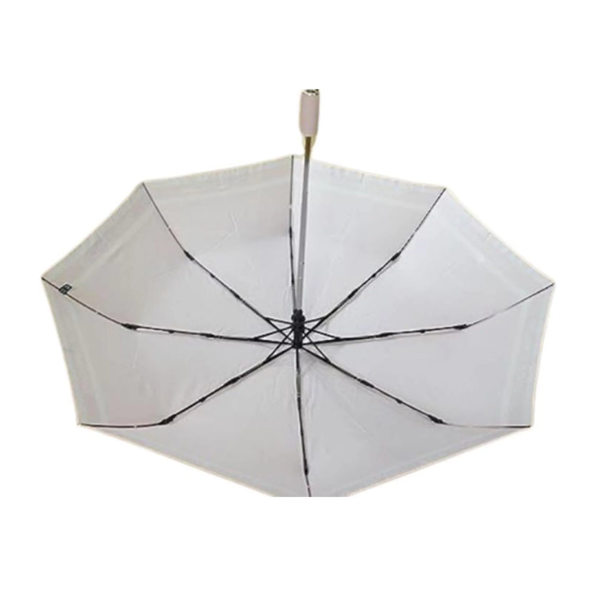 Light Powder Blush Umbrella R6634