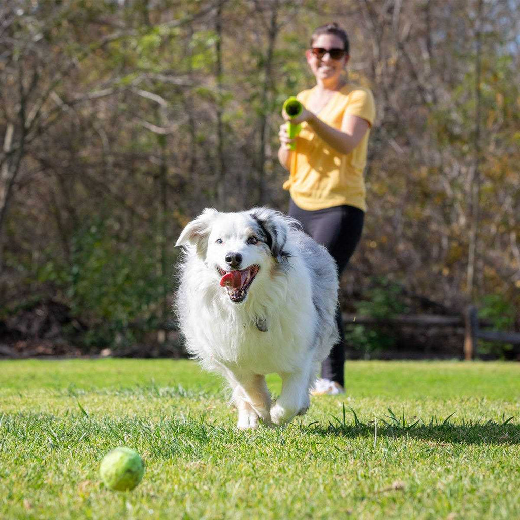 K9 Ball Launcher S60606