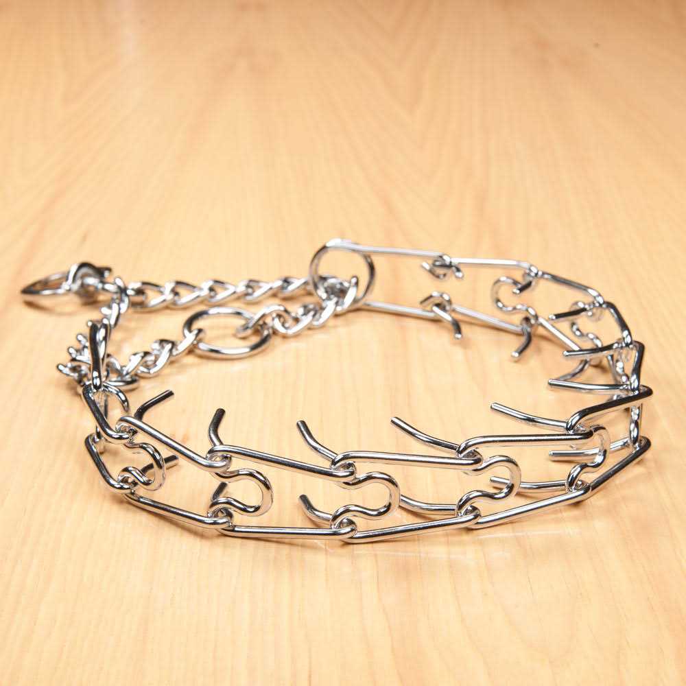 Spiked Training Collar R76404