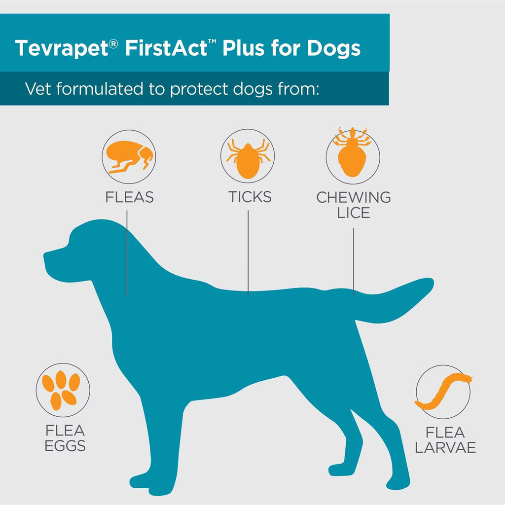 Flea and Tick Prevention Dogs D7496