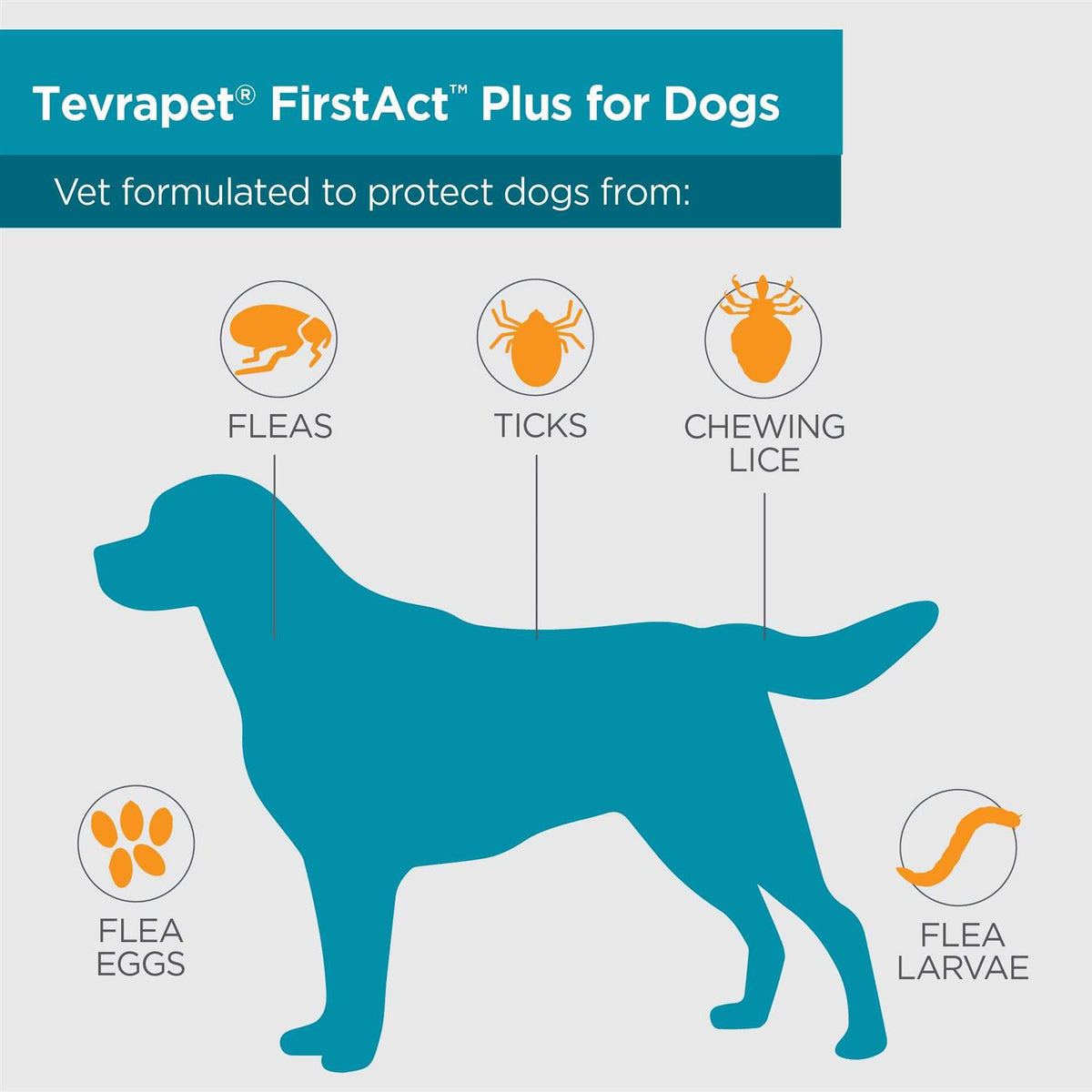 Flea and Tick Prevention Dogs D7496