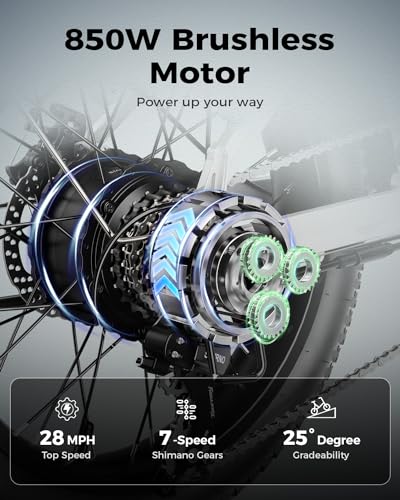 850W 48V 10AH 20" Fat Tire Folding Electric Bike C616