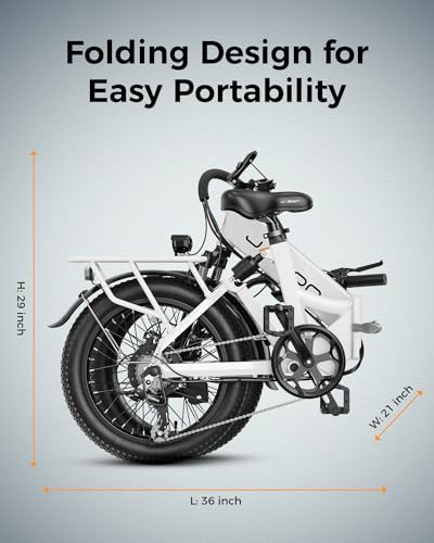 850W 48V 10AH 20" Fat Tire Folding Electric Bike C616